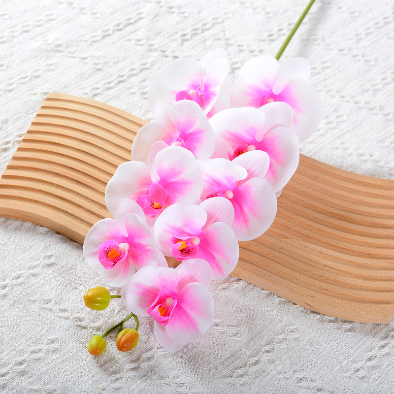 9 머리 보라색 하트 화이트