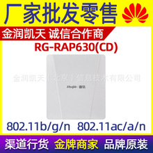 �J��RG-RAP630(CD) ��������p�l1167M�o��AP��վWiFi �����쾀