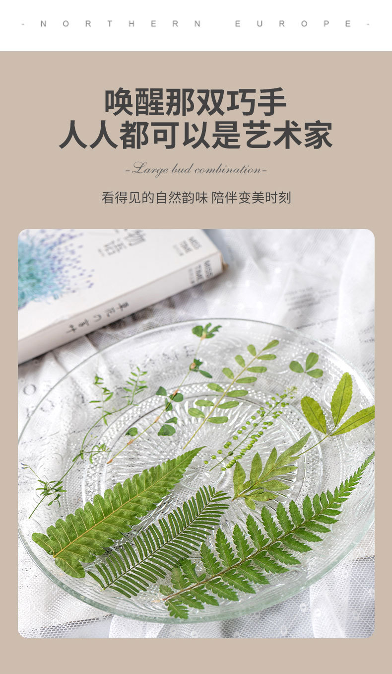 绿叶大包_04.jpg
