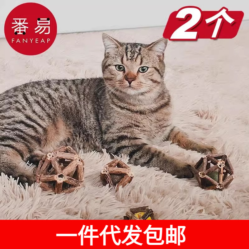 우송료 | POLYGONUM | 공 A1J50-CAT 민트 고양이 스틱의 세대는 지루함 고양이 공 민트 볼 고양이를 덜어줍니다.