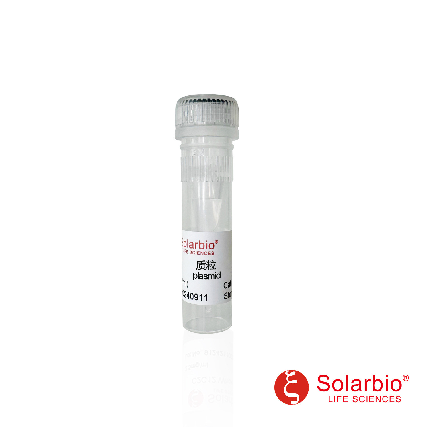 P3600 PBR322质粒 PBR322 Plasmid 科研用