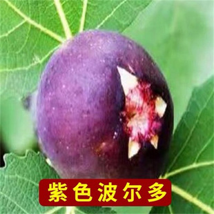 ��ɫ�׃����o����������ɫ���ğo�����ͺ�ͥԺ�ϱ����Nֲ����Y��