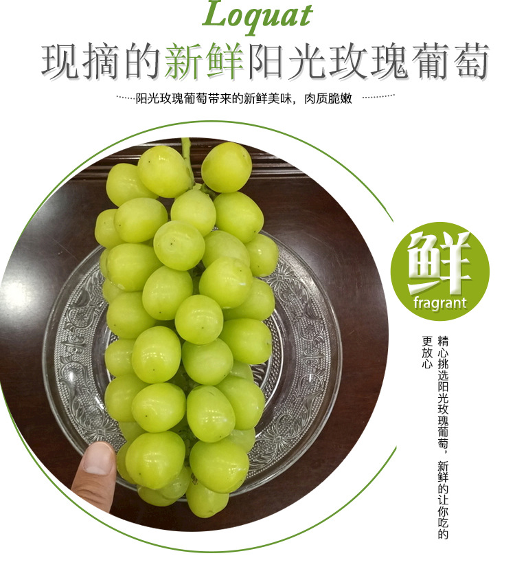 阳光玫瑰葡萄_05.jpg