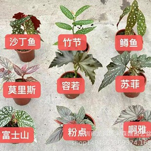 ���~�^�~�ﺣ�������ﵶ�~�V���~ˮ����ָ��쾰���~�҃ȾGֲֲ��