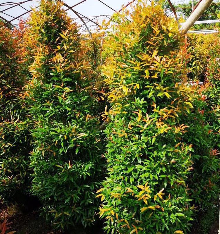 微信图片_20190810165324_看图王