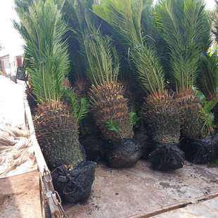 �����F�����l�r�� �㽭���^�F���r���Nֲ �V�|���m�F��r�辰�Gֲ