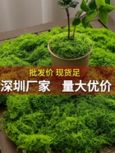 ̦�\��Ƥ��ƺ΢���^�쾰�ֹ�diy���Gֲ�辰��c���Ô[��