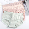 Underwear, breathable colored trousers, pants, factory direct supply