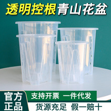 ͸����ҕ�՚����ظ�����ɽ�Gֲ����ʯ�������m�m���¼�Ǥ��Nֲ��