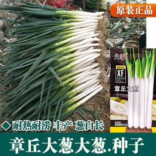 ɽ�|������[�N�ӷN�������������ļ��[���[�玧�����[�����[����