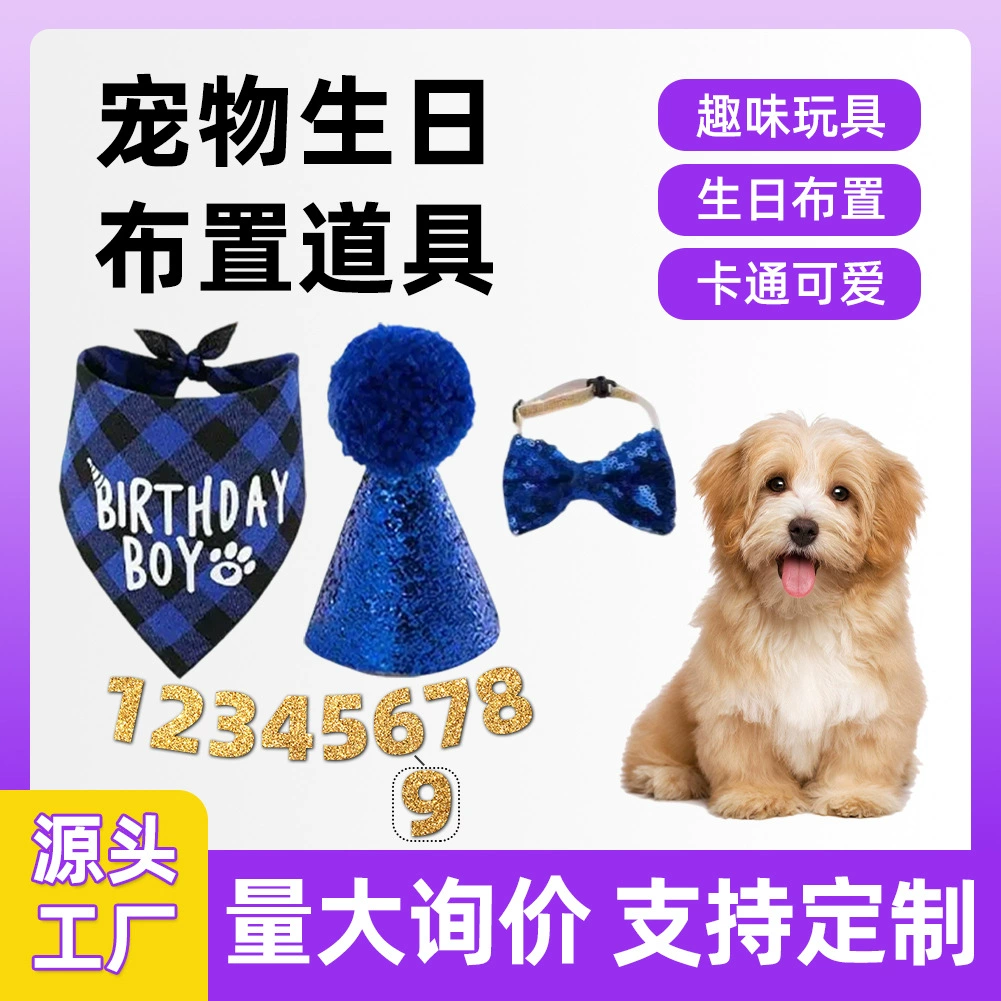 Домашние животные День Рождения Украшение Набор Собака День Рождения Платье День Рождения Шляпа Одеваются Домашние животные Одеваются Амазонка