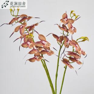 5�^�����m��������m �҃ȼҾӻ�c�ٻ��[���b[��������m�ٻ�