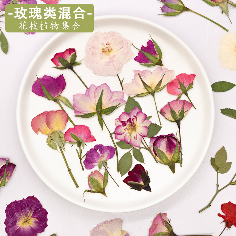 玫瑰合集 干花压花真花植物标本diy手工滴胶相框书签树叶画押花