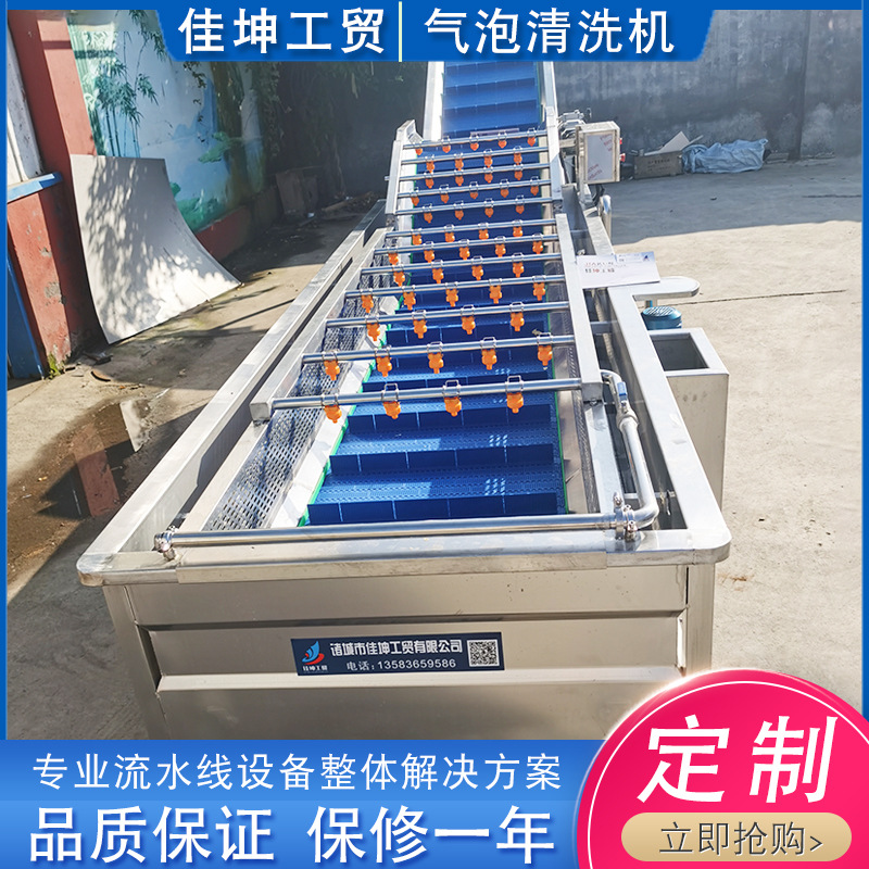 圣女果气泡清洗机 大枣清洗机 果蔬清洗流水线 生产厂家