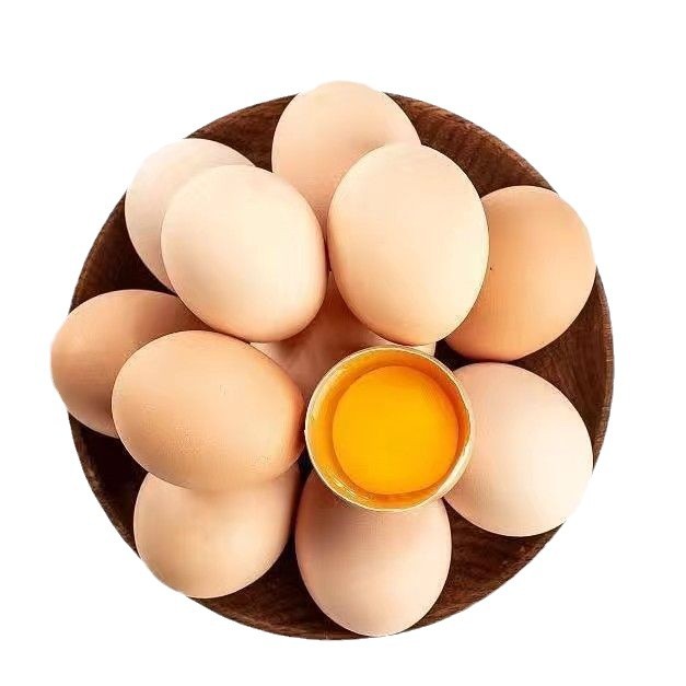 ɽ��ũ��ɢ���������񼦵�Ӫ�����������ݼ�����������ȱ�����