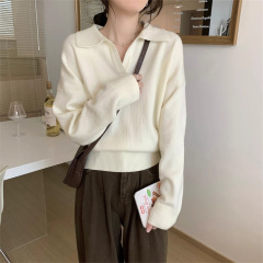 韩系宽松polo领毛衣女秋冬新款慵懒风显瘦气质翻领针织衫内搭上衣