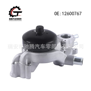 12600767 �m�ÄP�����˄P�׵�ѩ���mExpressSilverado �l�әCˮ��