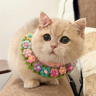 ��ɫ���h����ᘿ�����؈����I�ع���С������ˮ���߲ʇ��������