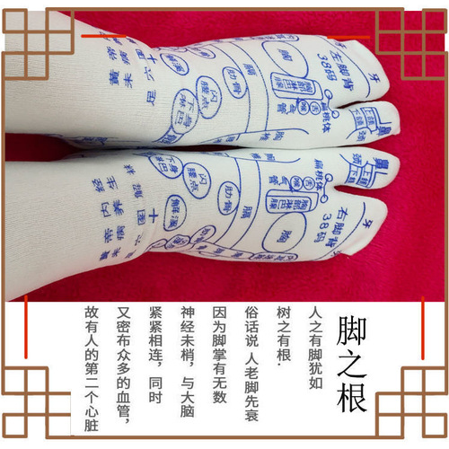 Professional foot massage precise acupressure meridian socks health care foot bottom human reflexology illustration men and women massage socks unblock