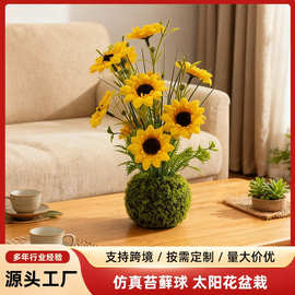 跨境热销仿真苔藓球太阳花盆栽室内外家居装饰桌绿植摆件工厂批发