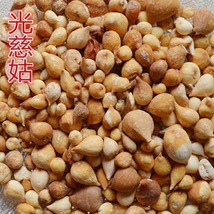 ��ș��Ұ����ȹ� �״ȹ� ��ȹ� �״Ĺ� ��Ʒ���]