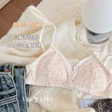 浅畔粉花~ 日系少女内衣小胸聚拢提胸防下垂薄款法式文胸罩无钢圈