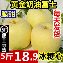 苹果;梨;其他滋补