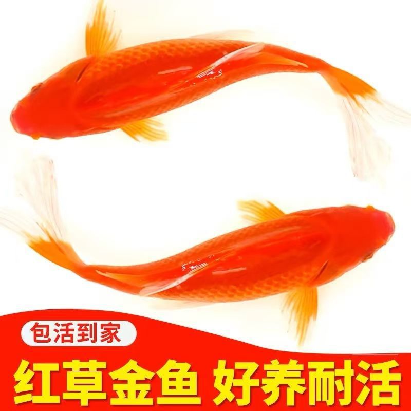 6274d892-6e27-4f96-890d-94161a1eda16.jpe
