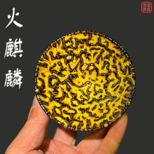 K豭Ʒ͵΂˱F̥մɹߎCY