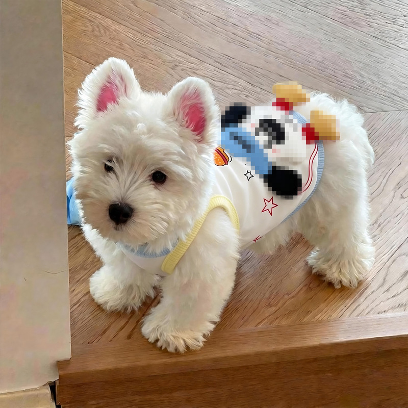 Thin Summer Vest for Dogs, Anti-Shedding, Suitable for Bichon, Teddy, West Highland Small Dogs, Pet Cats, and Plush Toys