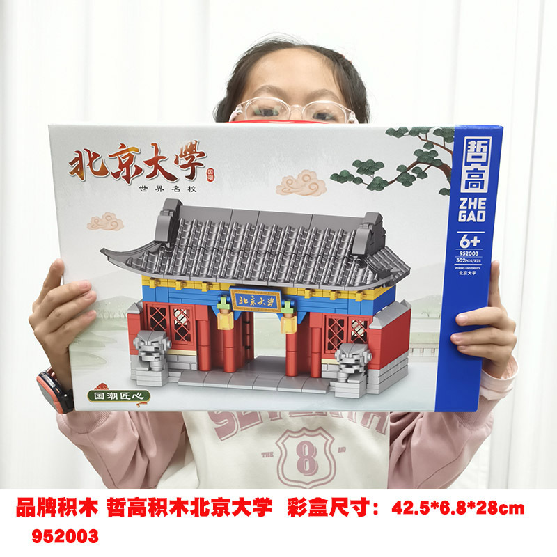 초콜릿 색상 북경 대학 빌딩 블록 952003
