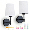 海外仓TEMU跨境Wall Sconce Set Of 2 With Remote Control|ms