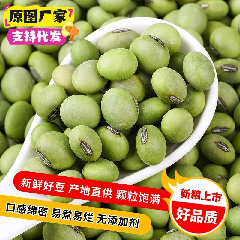 批发双青豆 大青豆 农家自种绿皮豆 青仁大豆黑脐大青豆|undefined