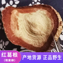 tƬ̩GTݲݾϿʳʳƷвșșʳϮa