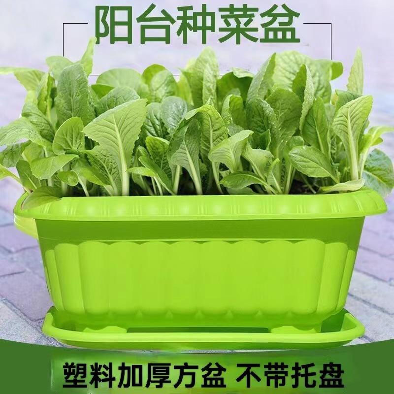 厂家直销塑料花盆 育苗盆阳台花棚通用不带托盘 长方形多功能花盆