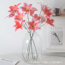 滨3Dӡ3^zٺ cYbٻĔzߏSl