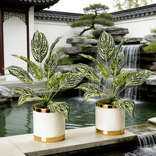 ���滨12�^�����f������ؔ�~�lؔ��ֲ��b��쾰��ˇƷ�[�����l