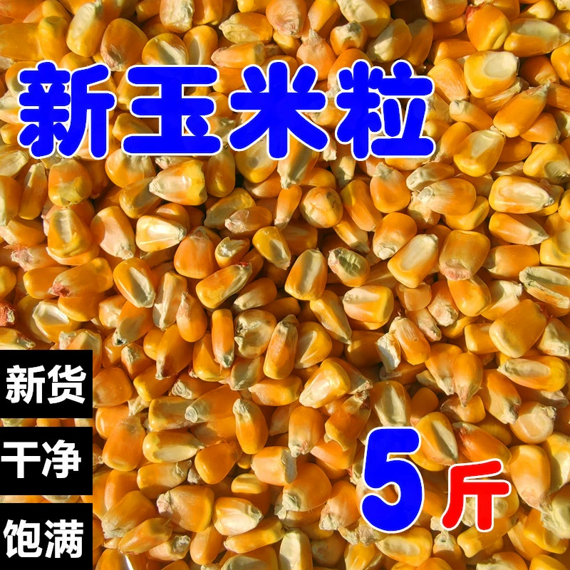 Новое производство кукурузы Голубь зерновой Питание Гоночный корм для птиц Голубь Корм 5 кг пакет Почта