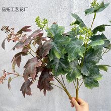 ���������~��c�廨�쾰���üٻ�ֲ��b��~�Gֲ�@�־��^���Q