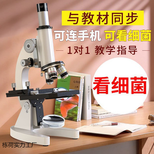 High-definition microscope for primary and secondary school students, professional-grade electronic children's science, biological visible bacteria optics