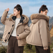 短款棉服女冬季新款2024韩版连帽大毛领加厚短款女式夹克棉袄外套