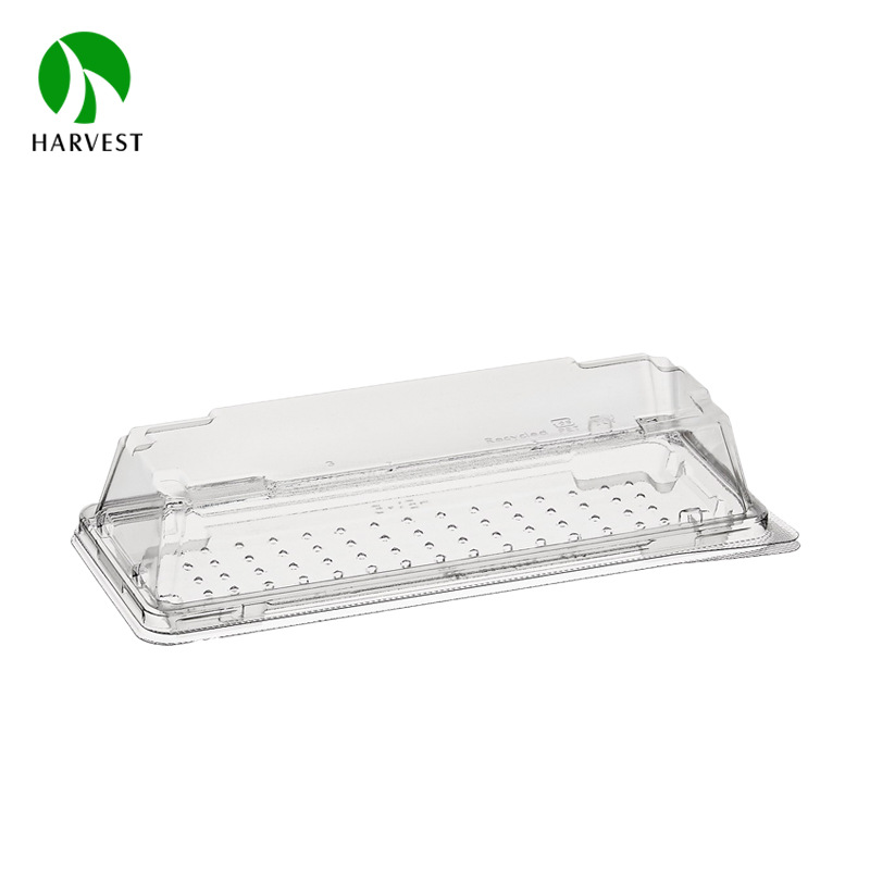 新产品PET贴膜寿司盒枫叶二色PET材质寿司盒 透明PET一次性寿司盒