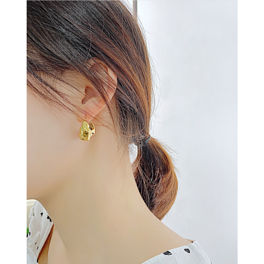 Fashion Irregular Stainless Steel Earrings Stainless Steel Earrings