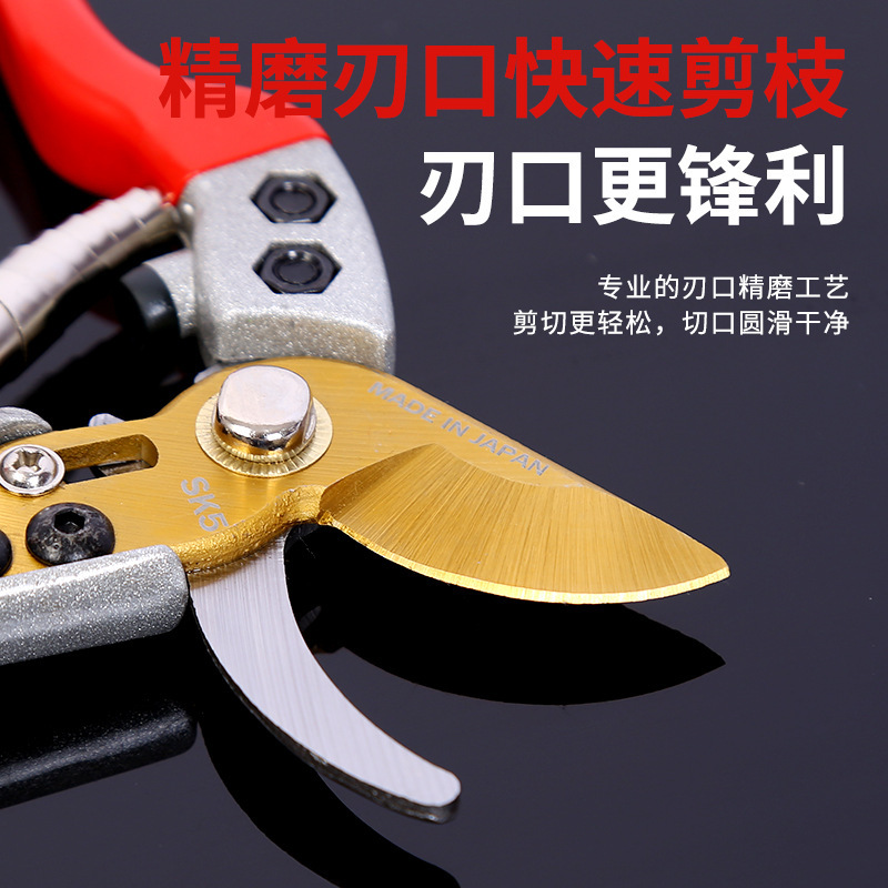 鹰嘴修枝剪园艺花枝剪树枝剪园艺果树剪枝专用果枝剪加厚花艺剪刀|undefined