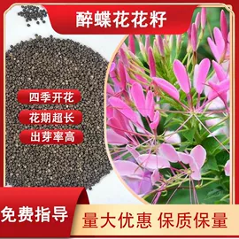 一二年生花卉;林业副产品;草坪