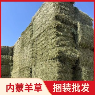 ���l�������ţ�R��ϲݼ�ͥ�r�� �R������@���������b����