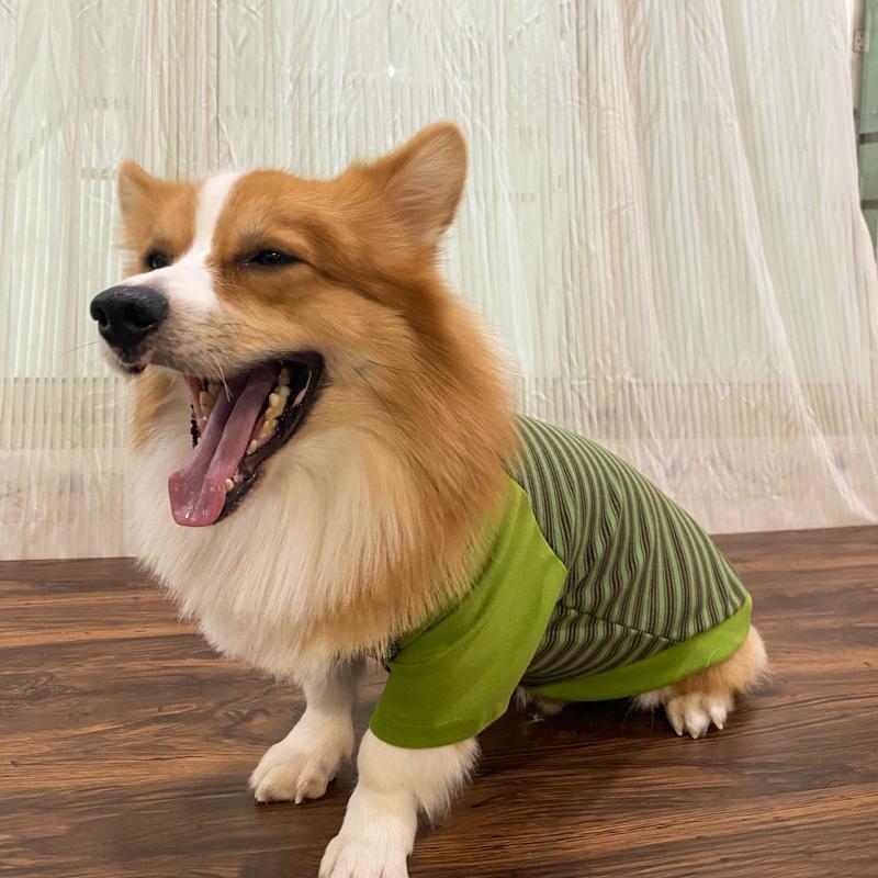 Perro de mascota primavera y otoño ropa Corgi perro calentamiento ocio tracción rayas camisetas de cuello redondo