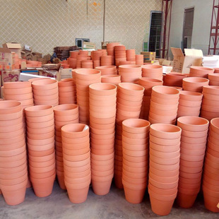 �t�ջ���͸�����������ֲ�ﻨ��Gֲ�҃����Ԉ@ˇ�մ������b���l