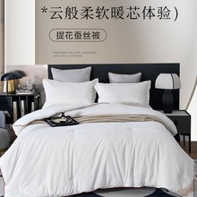 A类蚕丝被纯桑蚕长丝加厚被子子母被芯冬被春秋被空调被四季通用