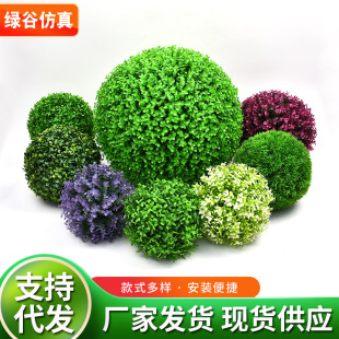 �S�����l ����ֲ����� �̈���c��Ӳ����ȼ������� �Ғ��b�